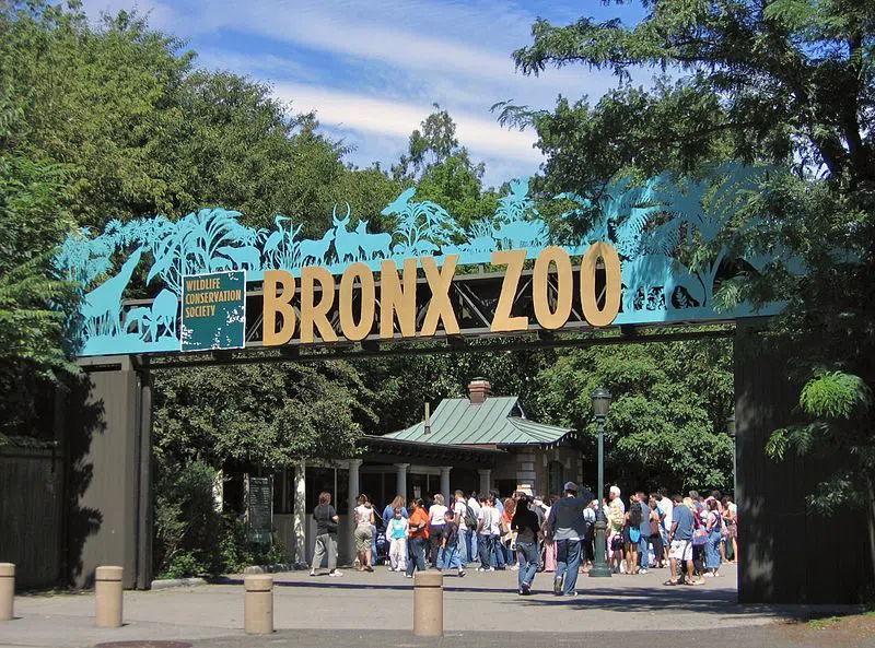 Bronx Zoo — Boo at the Zoo, Nova York