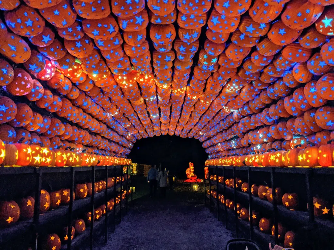 The Great Jack O'Lantern Blaze no Van Cortlandt Manor, Nova York