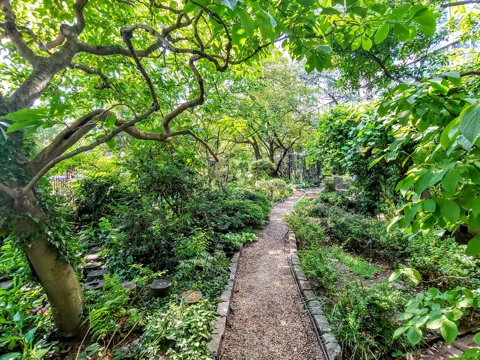 The High Line's Quiet Cousins: New York's Hidden Gardens and the Green Spaces Tourists Never Find