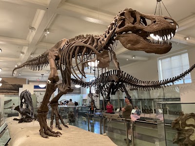 Museo Americano de Historia Natural