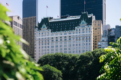 The Plaza, New York