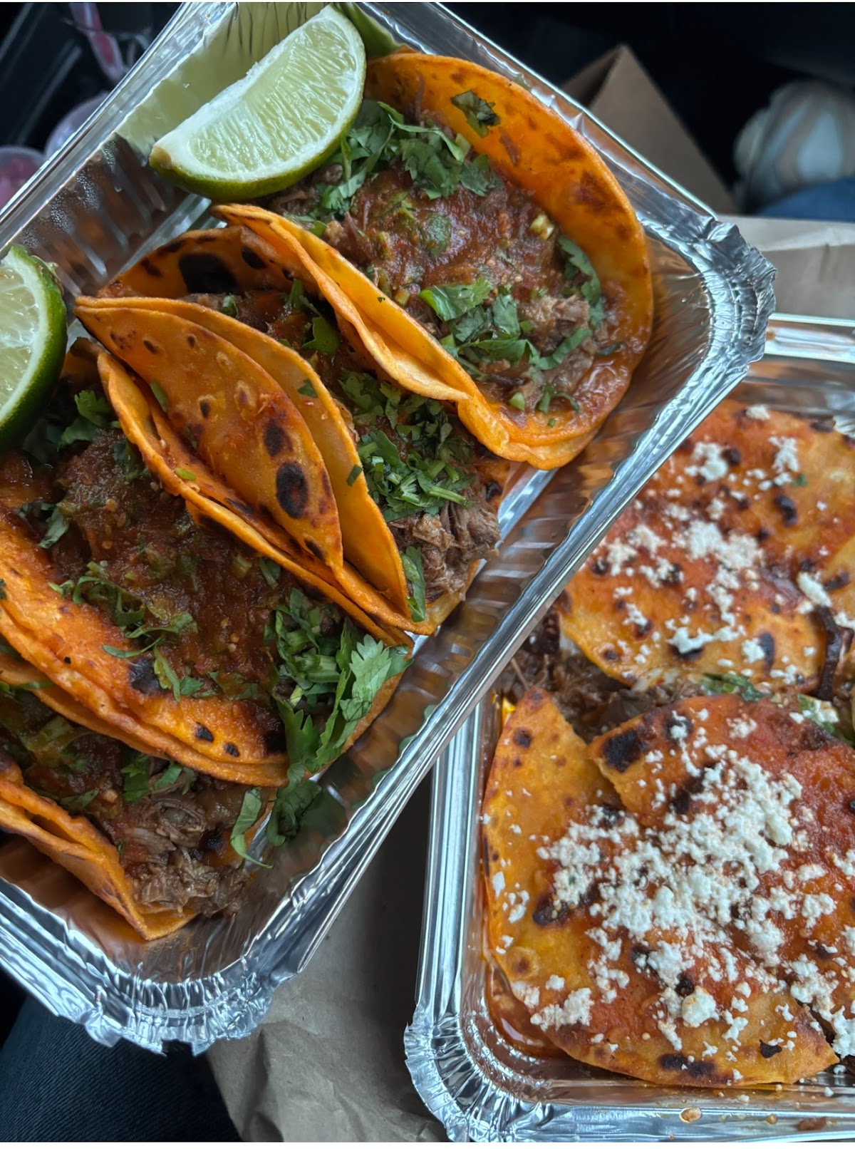 Birria Landia, New York