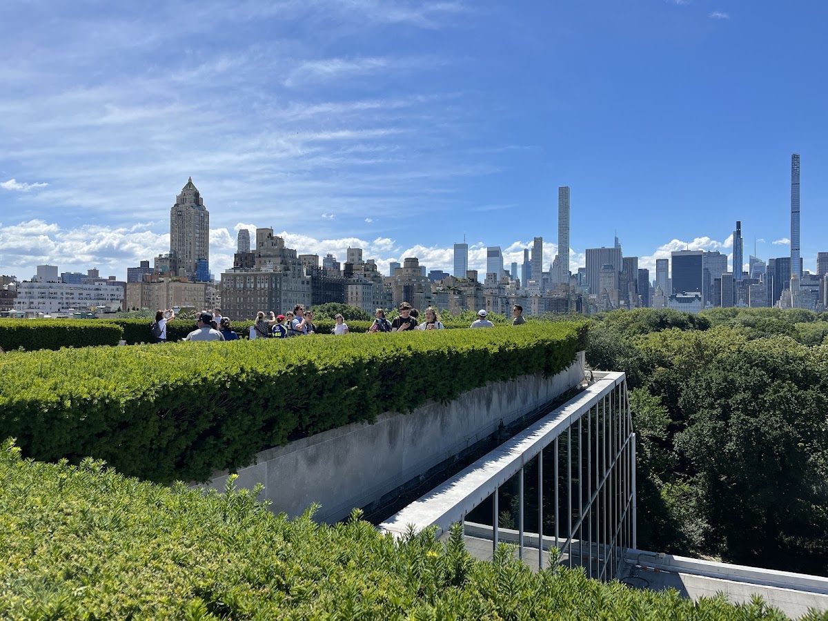The Metropolitan Museum of Art — photo 6