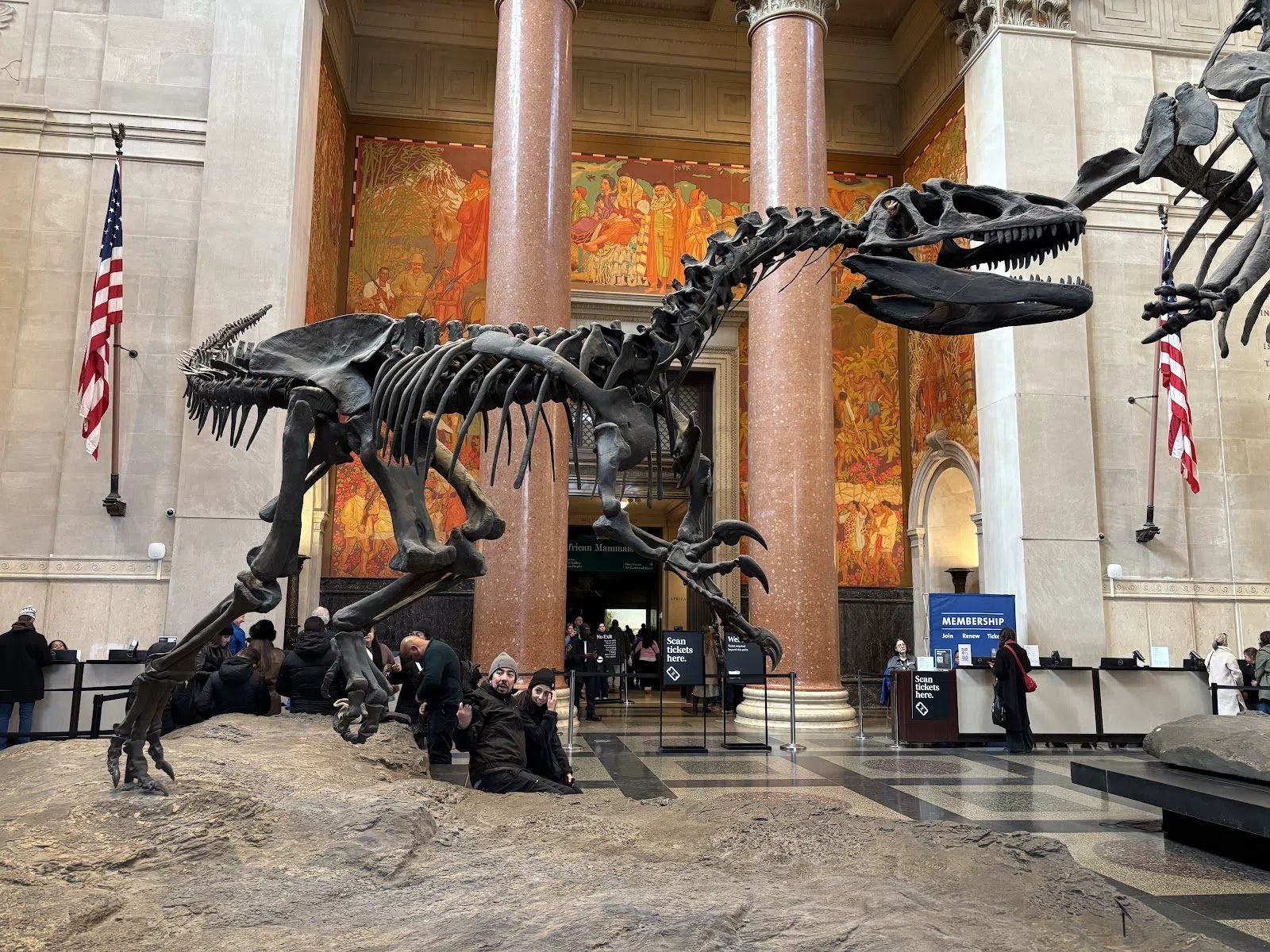 American Museum of Natural History, New York